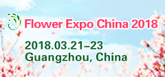 flowerexpochina banner240X112